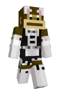 Bonjournn Minecraft avatar full body