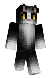 Boochae_ Minecraft avatar full body