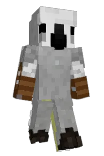 Booway Minecraft avatar full body