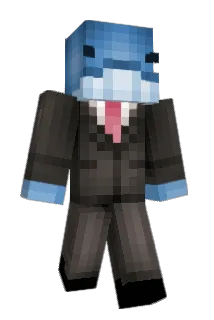 Boppzz Minecraft avatar full body