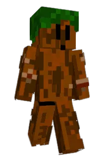 Borg1of8 Minecraft avatar full body