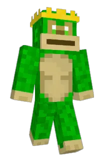 Borger17 Minecraft avatar full body