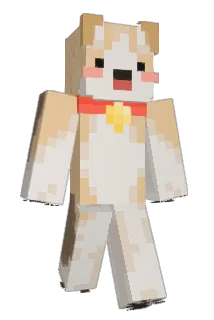 BorkerDoggo Minecraft avatar full body
