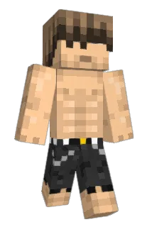 Borno Minecraft avatar full body