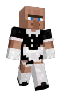 Borowa Minecraft avatar full body