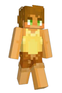 Borroni Minecraft avatar full body