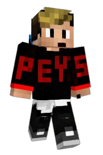 Borryk Minecraft avatar full body
