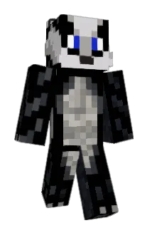 Borsuk17 Minecraft avatar full body