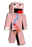 Bostafani Minecraft avatar full body