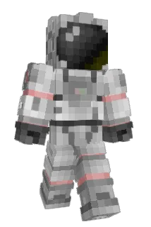 Bostonterrier Minecraft avatar full body
