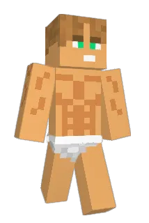 BotMalle Minecraft avatar full body