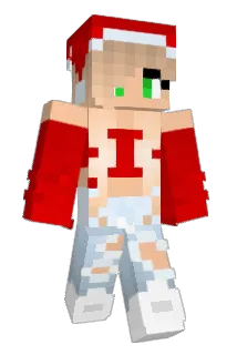 BotNinja2020 Minecraft avatar full body