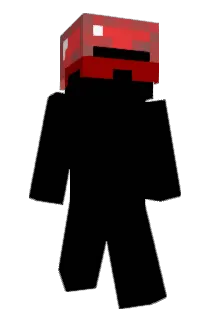 Botskippie Minecraft avatar full body