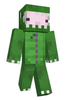 Bouill Minecraft avatar full body