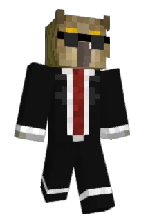 BowHunterBR Minecraft avatar full body