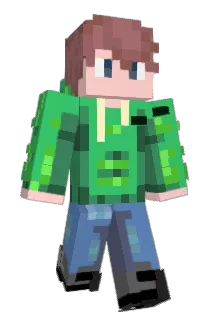 Bowa2007 Minecraft avatar full body