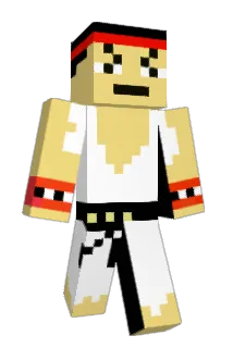 Bowsan22 Minecraft avatar full body