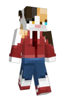 BoxelLogica Minecraft avatar full body
