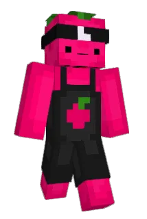 BoySponge Minecraft avatar full body