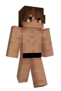 Bqco Minecraft avatar full body