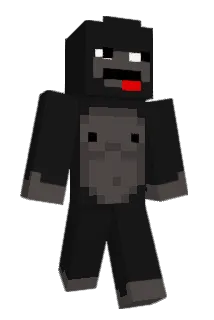 Br01D Minecraft avatar full body