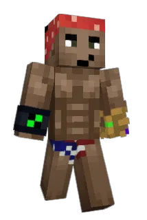 Br0puNs3l Minecraft avatar full body