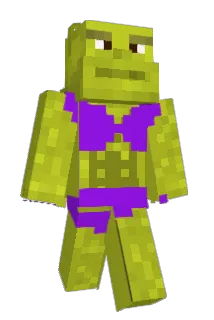 Br1cc Minecraft avatar full body
