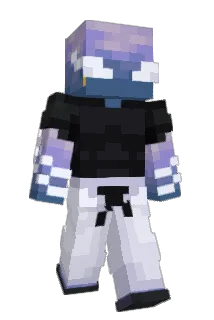 Br33ze_MC Minecraft avatar full body
