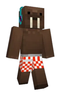 Br3j0 Minecraft avatar full body