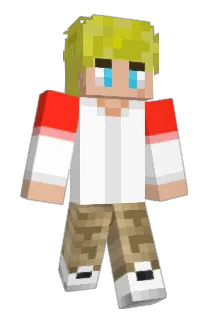 Br49e Minecraft avatar full body