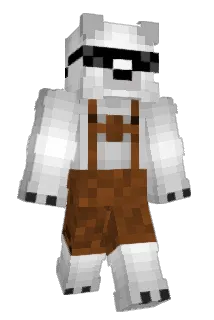 BrUnOoBr Minecraft avatar full body