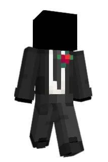 Bra1nwave Minecraft avatar full body