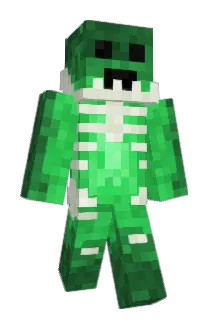 Braaibroodjie Minecraft avatar full body