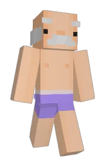 Braander Minecraft avatar full body