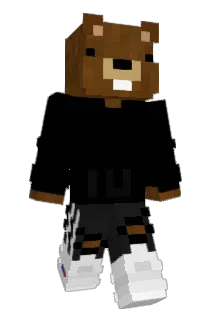 Bracherhawk Minecraft avatar full body