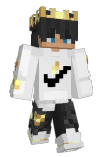 BradBurn Minecraft avatar full body