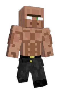 BradleyMusk Minecraft avatar full body