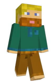 BradySwan Minecraft avatar full body