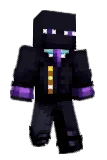 Braiden Minecraft avatar full body