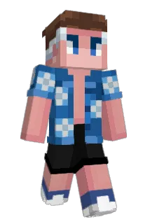 BrailTeq Minecraft avatar full body
