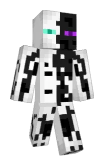 Brainwizz99 Minecraft avatar full body