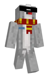 BranMar21 Minecraft avatar full body