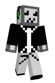 Brandobin Minecraft avatar full body