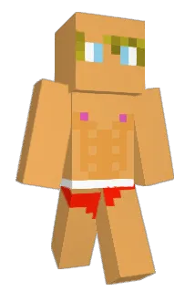 BrandonWho Minecraft avatar full body