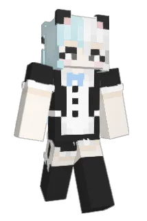 Branflakes143 Minecraft avatar full body