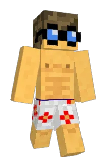 Brannndon Minecraft avatar full body