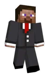 Branwil Minecraft avatar full body