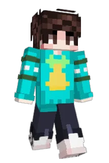 BrauchACSettings Minecraft avatar full body