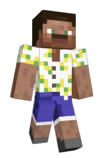 Braunbaer69 Minecraft avatar full body