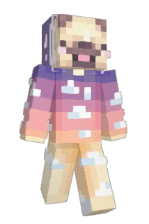 BravePugKnight Minecraft avatar full body